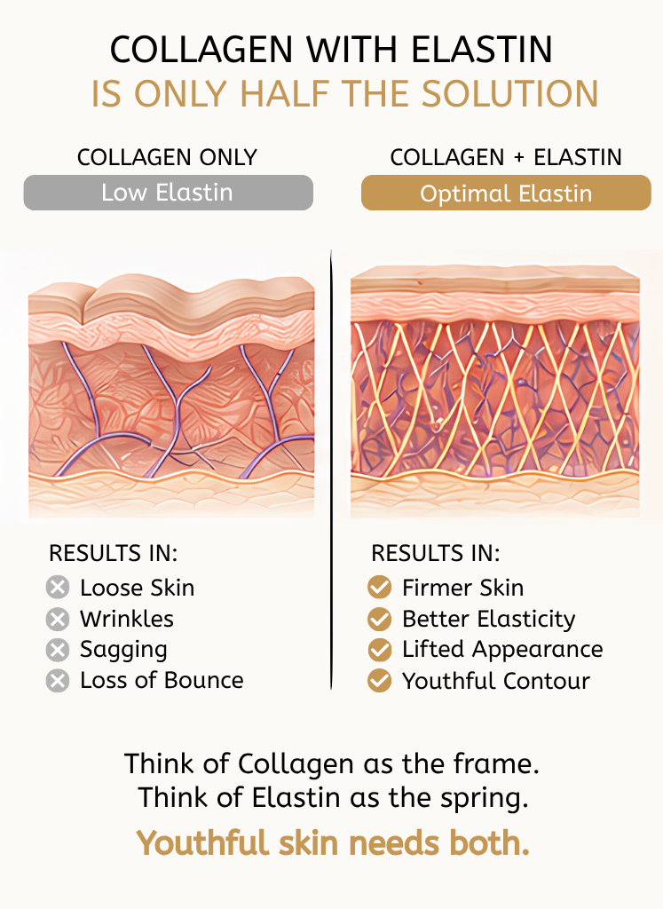 YouthLift™ LiftContour — Collagen + Elastin Beauty Powder